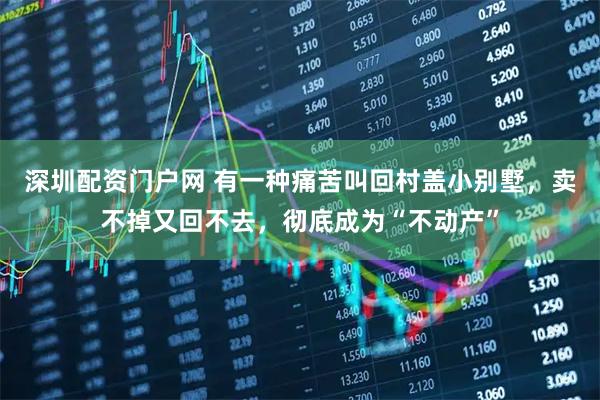 深圳配资门户网 有一种痛苦叫回村盖小别墅，卖不掉又回不去，彻底成为“不动产”