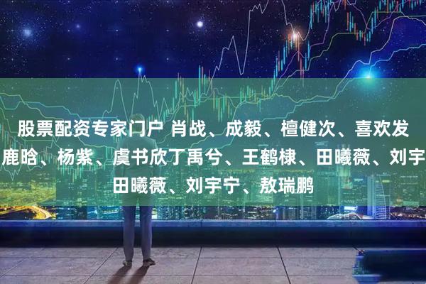 股票配资专家门户 肖战、成毅、檀健次、喜欢发泄的男星？鹿晗、杨紫、虞书欣丁禹兮、王鹤棣、田曦薇、刘宇宁、敖瑞鹏