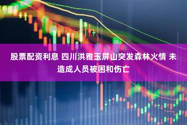 股票配资利息 四川洪雅玉屏山突发森林火情 未造成人员被困和伤亡